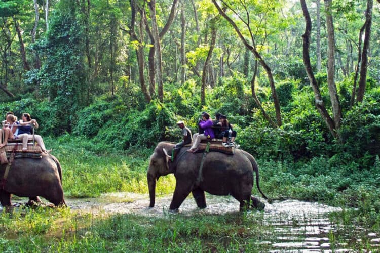 Chitwan Tour