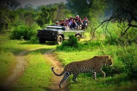 Chitwan Jungle Safari