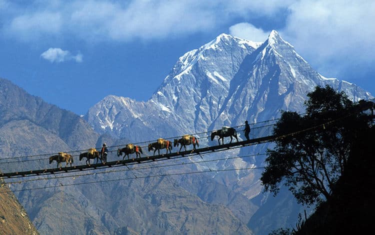 Custom Nepal Tour